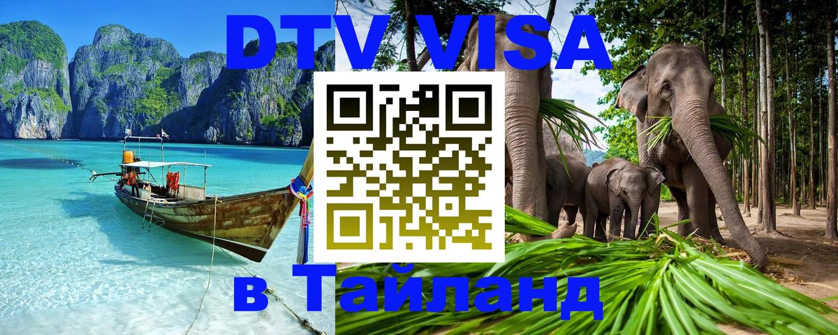 ДТВ VISA Тайланд для фрилансеров Веллингтон 